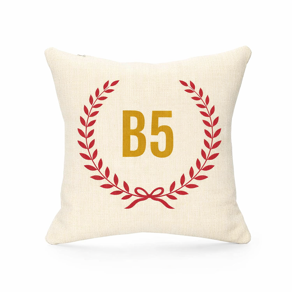 B5 - Cushion - Digbeth|Highgate|Lee Bank|Edgbaston