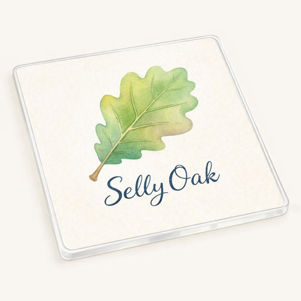 Selly Oak - Coaster - Soft Watercolours - Leaf