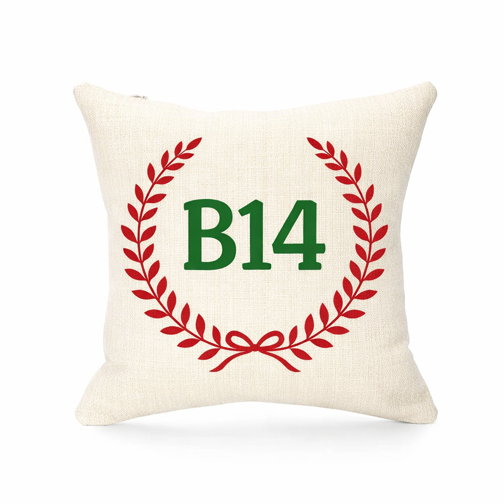 B14 - Cushion - Kings Heath|Yardley Wood|Druids Heath|Highter's Heath|Warstock|Maypole