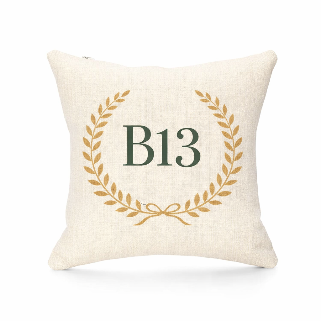 B13 - Cushion - Moseley|Billesley|Moor Green