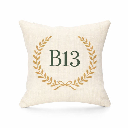 B13 - Cushion - Moseley|Billesley|Moor Green