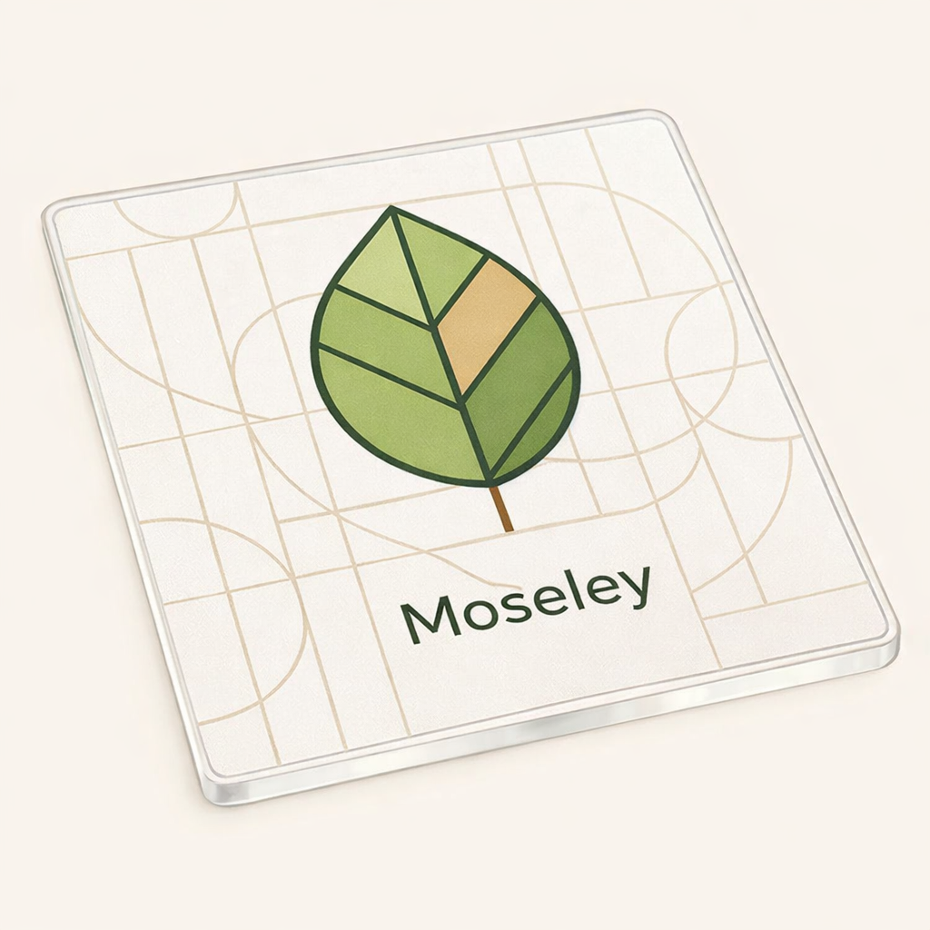Moseley - Coaster - Geometric Lines - Leaf