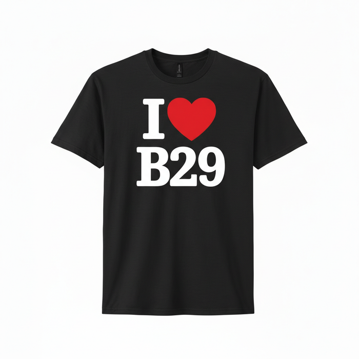 Weoley Castle - T-Shirt - I heart B29 Design