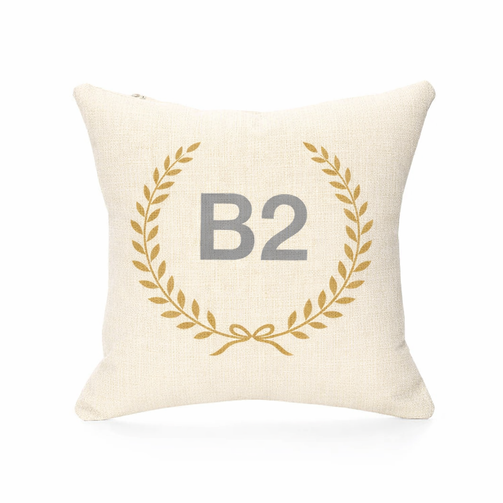 B2 - Cushion - Birmingham City Centre|New Street