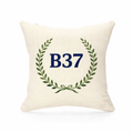 B37 - Cushion - Chelmsley Wood|Marston Green|Kingshurst|Fordbridge