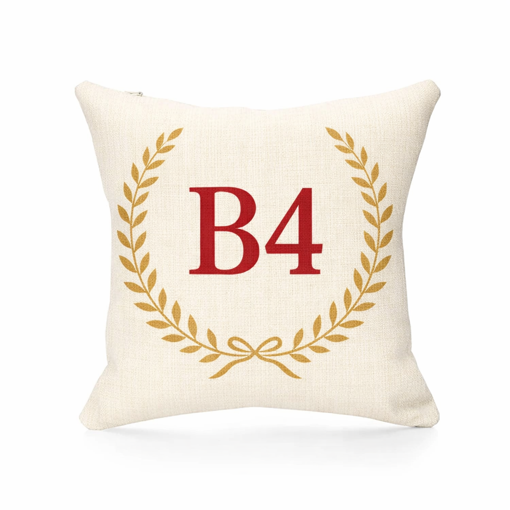 B4 - Cushion - Birmingham City Centre|Corporation Street|Aston University