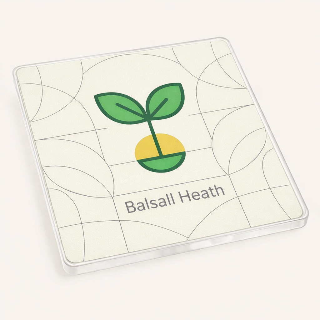 Balsall Heath - Coaster - Geometric Lines - Leaf