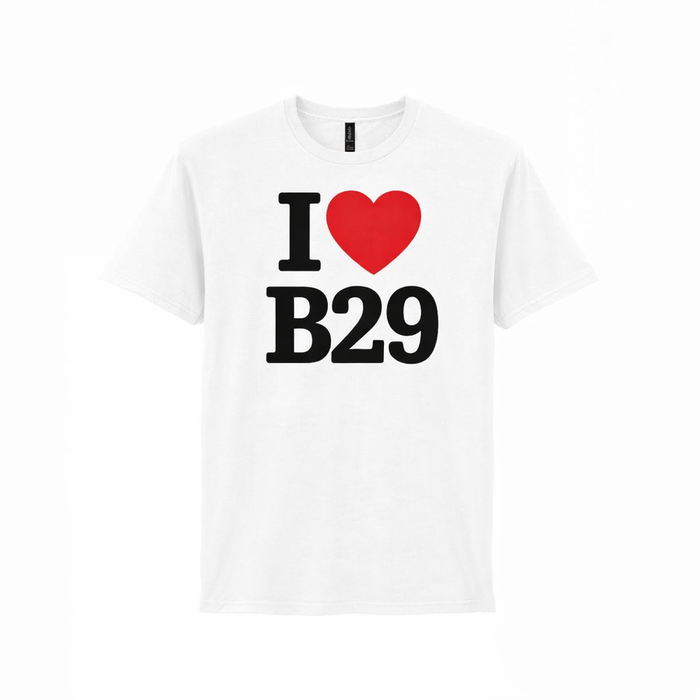 Weoley Castle - T-Shirt - I heart B29 Design