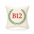 B12 - Cushion - Balsall Heath|Sparkbrook|Highgate|Deritend