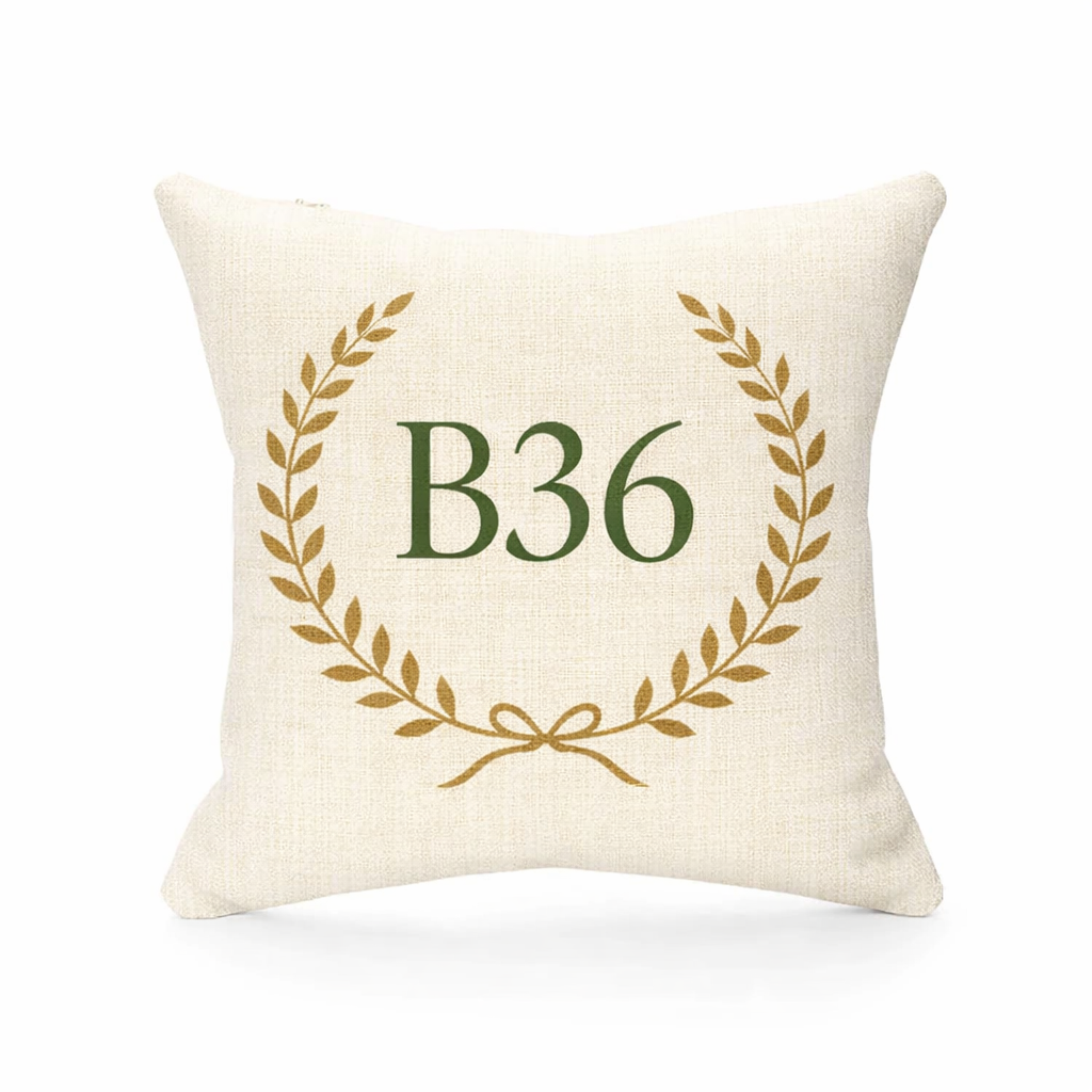 B36 - Cushion - Castle Bromwich|Smith's Wood|Bromford|Hodge Hill|Washwood Heath