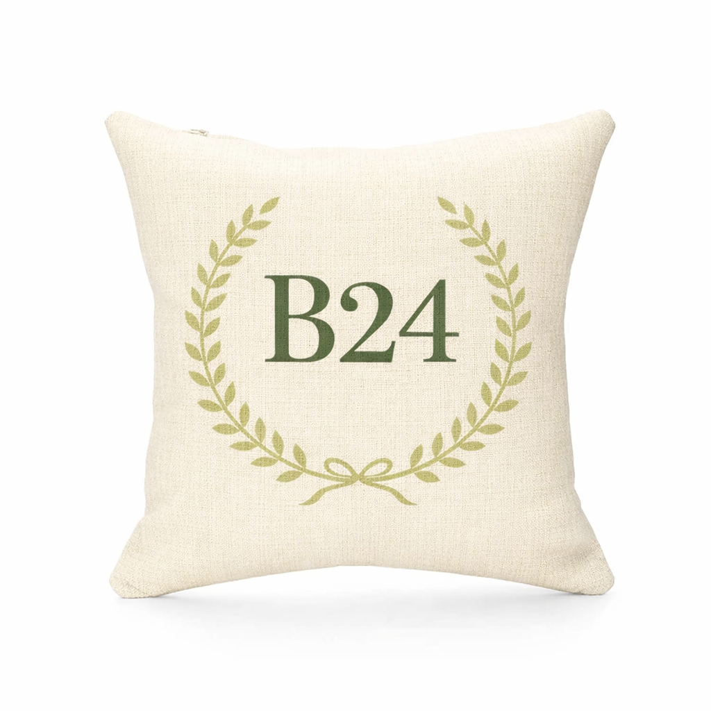 B24 - Cushion - Wylde Green|Erdington|Tyburn|Bromford|Gravelly Hill