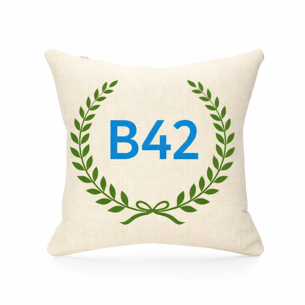 B42 - Cushion - Perry Barr|Great Barr|Hamstead