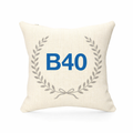 B40 - Cushion - National Exhibition Centre|Birmingham Airport|Resorts World|Marston Green|Bickenhill